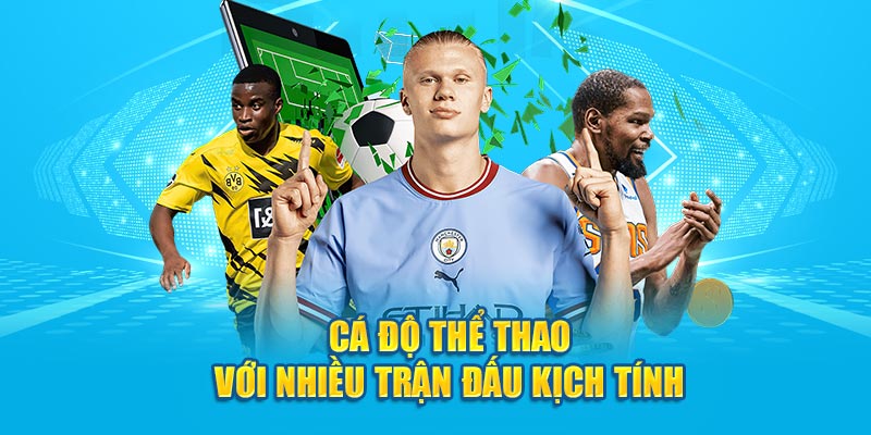 Tổng Hợp Những Thông Tin Giới Thiệu Về Hi88 Cho Người Mới - hình ảnh - jyadbuzxnl.top Tổng Hợp Những Thông Tin Giới Thiệu Về Hi88 Cho Người Mới - hình ảnh - jyadbuzxnl.top