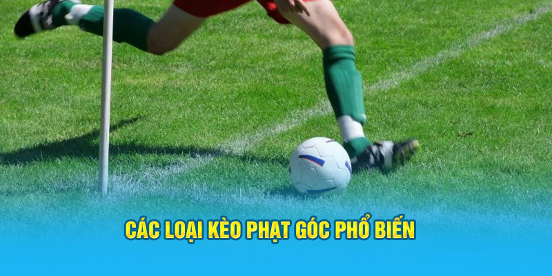 Kèo Phạt Góc – Bí Quyết Soi Kèo Phạt Góc Hi88 Hiệu Quả, Thắng Lớn - hình ảnh - jyadbuzxnl.top Kèo Phạt Góc – Bí Quyết Soi Kèo Phạt Góc Hi88 Hiệu Quả, Thắng Lớn - hình ảnh - jyadbuzxnl.top