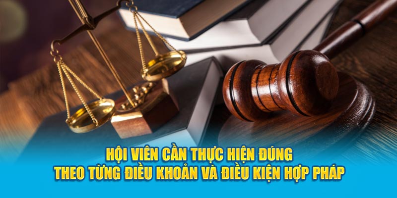 Điều khoản và điều kiện HI88 – Đảm bảo lợi ích cho hội viên - hình ảnh - jyadbuzxnl.top