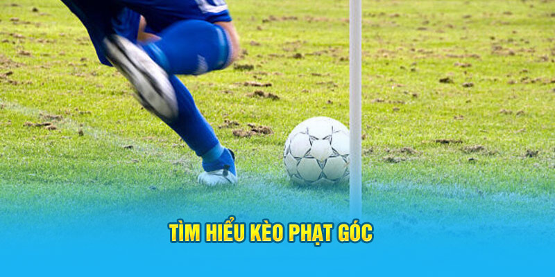 Kèo Phạt Góc – Bí Quyết Soi Kèo Phạt Góc Hi88 Hiệu Quả, Thắng Lớn - hình ảnh - jyadbuzxnl.top Kèo Phạt Góc – Bí Quyết Soi Kèo Phạt Góc Hi88 Hiệu Quả, Thắng Lớn - hình ảnh - jyadbuzxnl.top